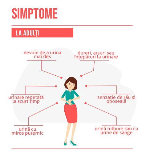 Infografic: circuitul tractului urinar și localizarea infecției în sarcină