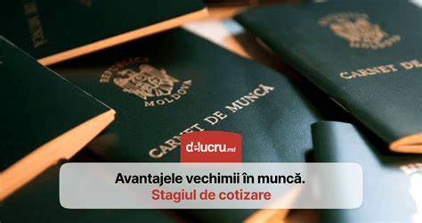 Infografic: Flux de vechime în muncă vs. stagiul de cotizare în contextul concediilor
