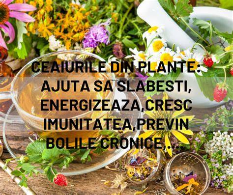 Imagine: ceaiuri din plante pentru copii