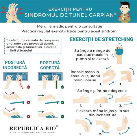 Diagrama: structuri ale încheieturii, tunel carpian, și locuri frecvente de durere