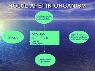 Grafice despre distribuția apei în organism și modificările în sarcină