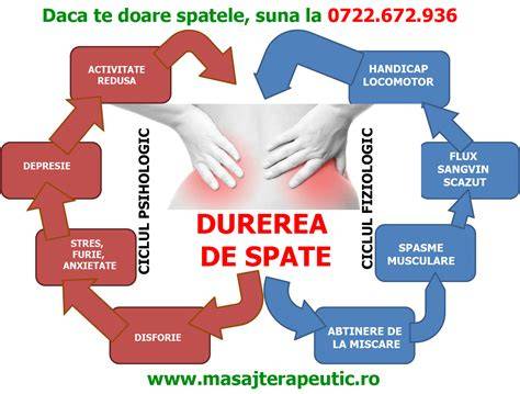 Diagramă: mecanismele durerii de spate în sarcină
