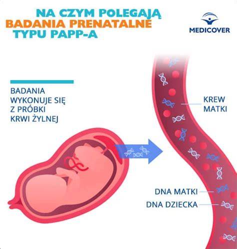 Infografic: Cum funcționează dublul test (PAPP-A, free beta-hCG, translucența nucală, vârsta maternă)