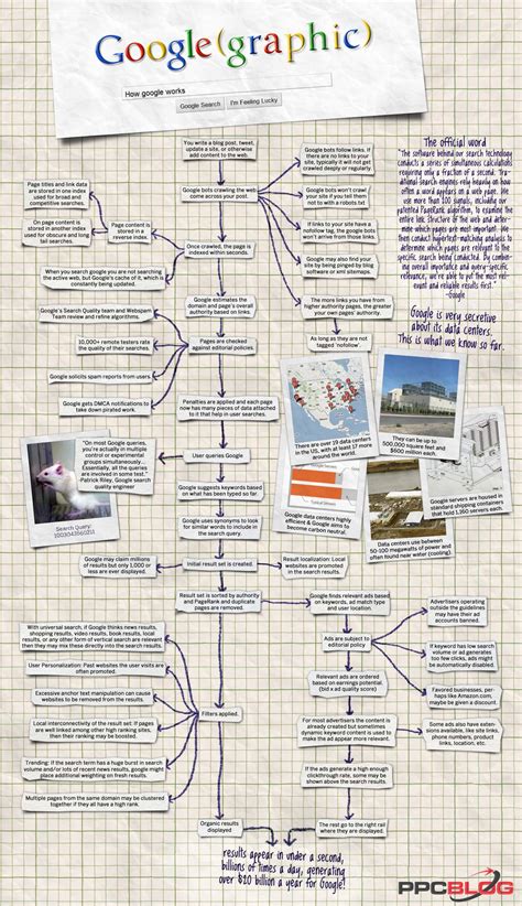 Infografic: cum functioneaza extensia LaPrimulBebe pentru licitații