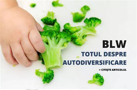 Diagramă: comparație între diversificarea clasică și autodiversificarea (BLW) la prematuri