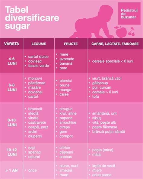 Infografie: etapele diversificării de la 4 la 6 luni