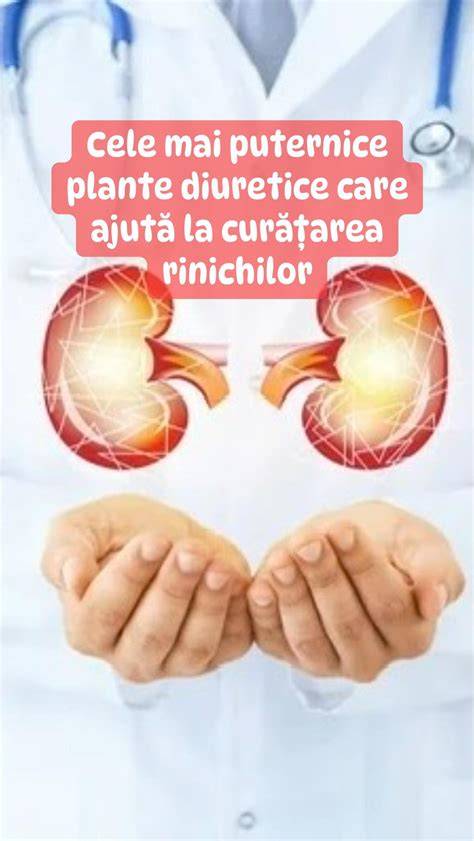 diuretice_naturale_diagrama_organismului