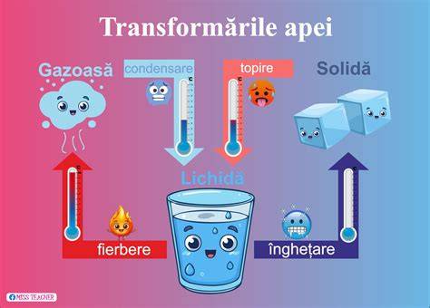 Infografic: Pași pentru pregătirea apei pentru sugari (fierbere, răcire, manipulare igienică)
