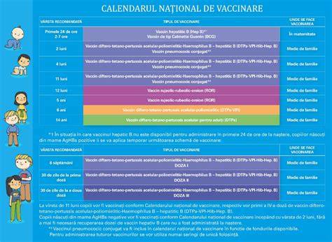 Schema vizualizare etape 12 luni