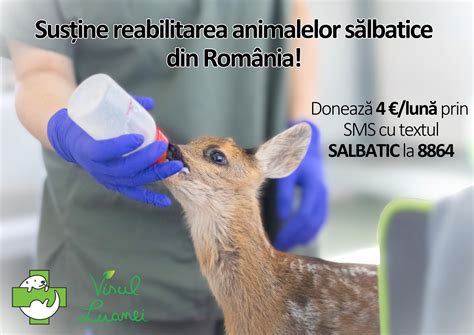 Schema de carantinare a animalelor