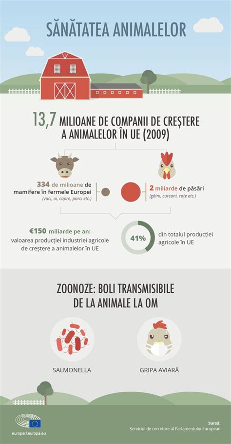 Infografic cu elementele cheie ale sănătății animalelor