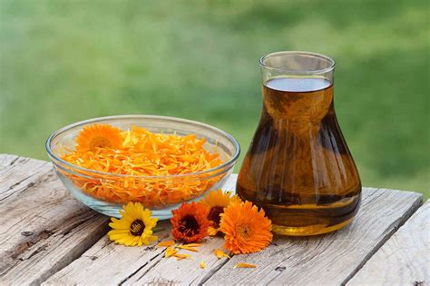 Extract Calendula Weleda poveste proprietăți