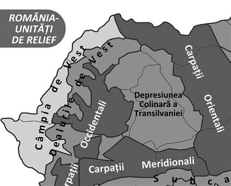 Infografic cu principalele unitati pediatrice din Cluj si moduri de contact