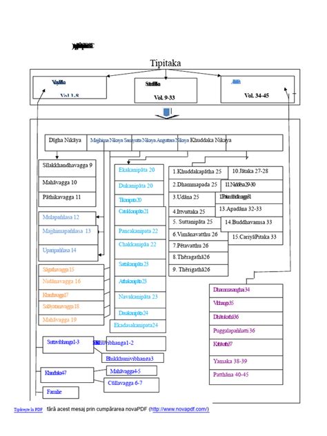 Diagramă: clasificarea prematurității și proceduri de îngrijire
