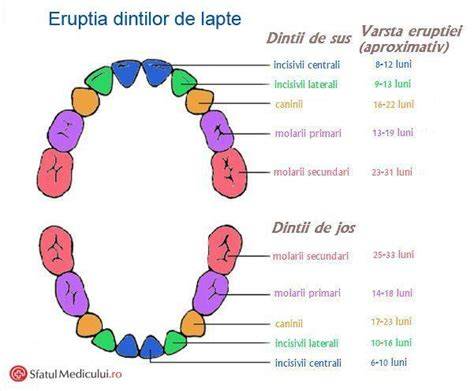Infografic: remedii pentru ameliorarea durerii in eruptia dentara