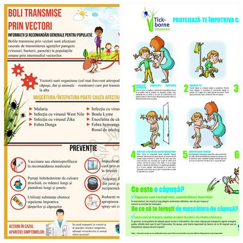 Infografica: Cauze si solutii pentru mușcături la sân în timpul alăptării