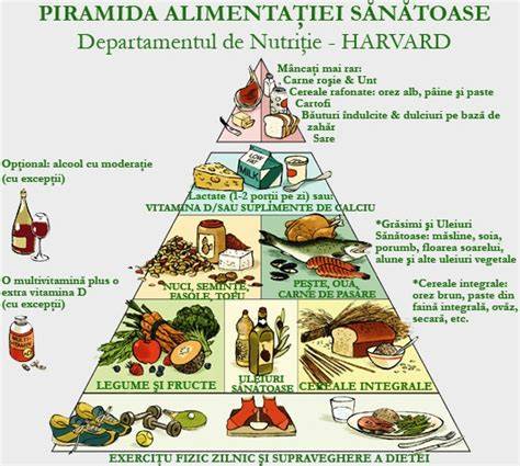 Schema alimentatiei corecte la sugar si frecventa meselor