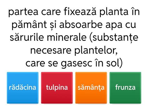 Infografic: Componentele siropului Biosept și rolurile acestora