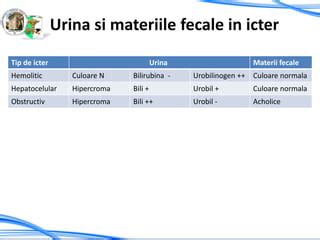 Infografic: mecanismul icterului neonatal si etapele tratamentului