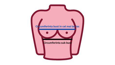 Infografic: Cum să măsori corect circumferința sub bust și cupa
