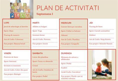 Plan de activitati 9 luni