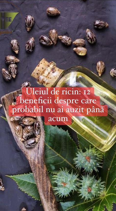 Infografic despre uleiul de in: beneficii, ALA, DHA/EPA, riscuri