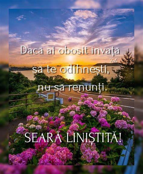 Infografic: Puncte cheie pentru o seară liniștită