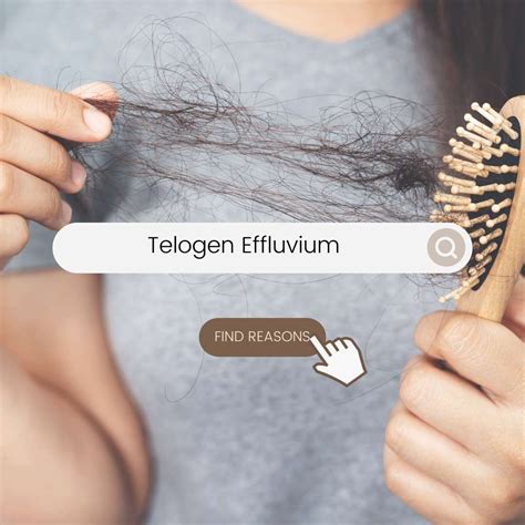 grafic telogen effluvium postpartum: faze ale ciclului firului de par