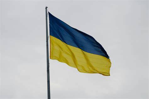 Diagrame ale posibilelor mecanisme ale SUA: atrezie, agenezia primară, persistența arterei allantoice