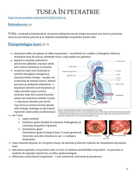 Infografic: traseu diagnostitic în pediatrie