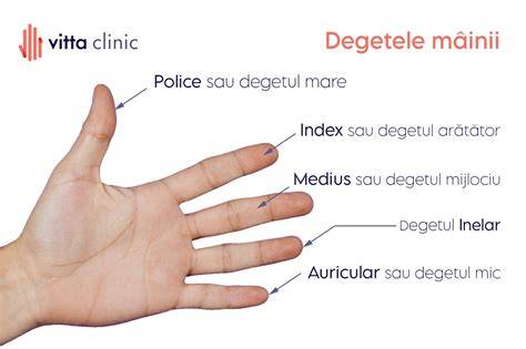 Imaginea unui sterilet în mână, ca element central în discuțiile despre caz