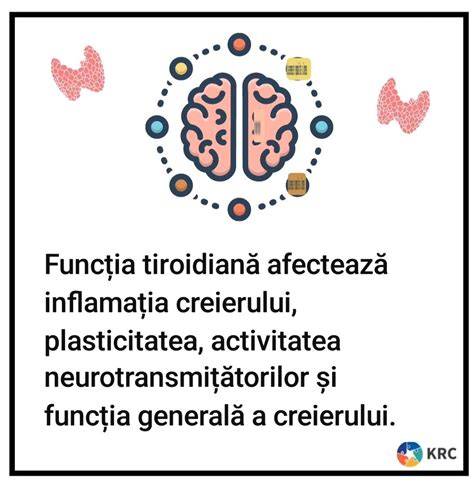 Infografic: Rolul micronutrienților în funcția tiroidiană