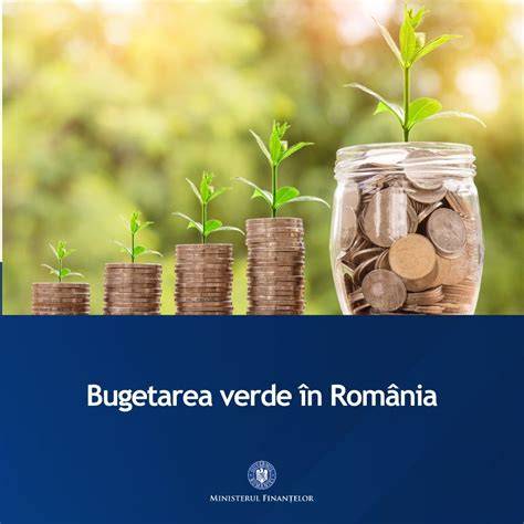 Grafic: depozitare financiară și bugetare pentru Sugar Babies