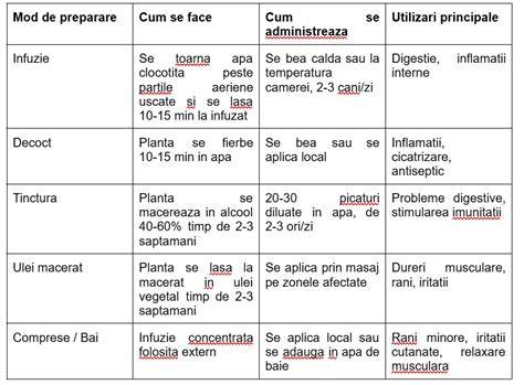 Infographic: Compozitie si principii active ale cozii soricelului