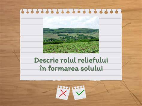 Infografic - Relieful pierderii de sarcină în conducte: factorii de influență, formule și parametri