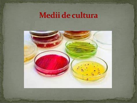 Imaginea laboratorului FIV Polisano Sibiu, cu mini-incubatoare moderne si medii de cultura personalizate