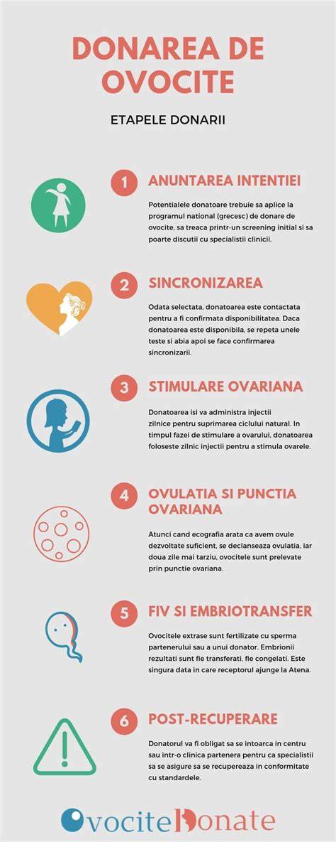 Infographic: traseul donării de ovocite de la donatoare la receptoare