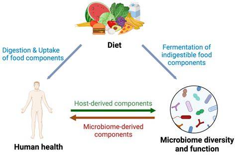 _diagrama_microbiom_cebriană_vs_naturală