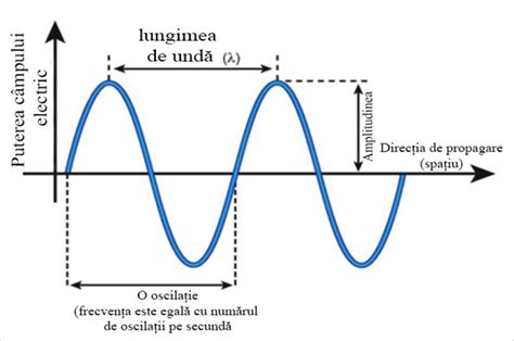 Grafic de flux: selecția donatoarei, sincronizarea ciclului și embriotransfer