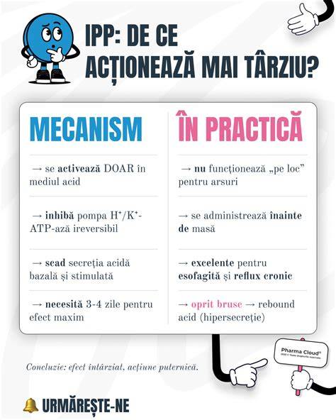 Infografic: Mecanismul diuretic al cozii-calului