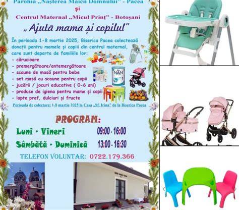 Infografic: Nivelele de sprijin oferite de centrul maternal și de zi