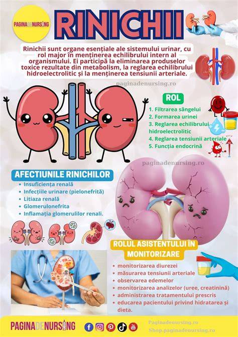 Infografic: MSC și rolul lor în imunomodulare și regenerare