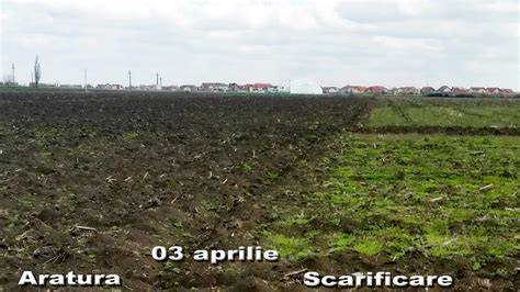 Fotografie din Mileanca: câmpuri cu cernoziom cambic în primii ani de cultivare