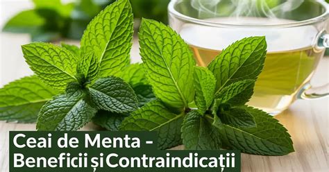 Imagine reprezentativă ceai mentă în sarcină