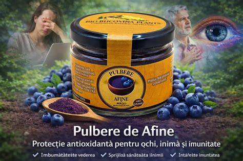 Infografic beneficii afine in sarcina: antioxidant, prebiotice, glicemie