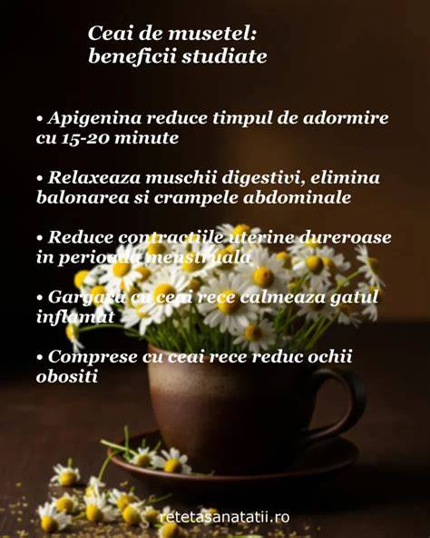 Infografic: Ghid sigur pentru introducerea ceaiului de mușețel la bebeluși