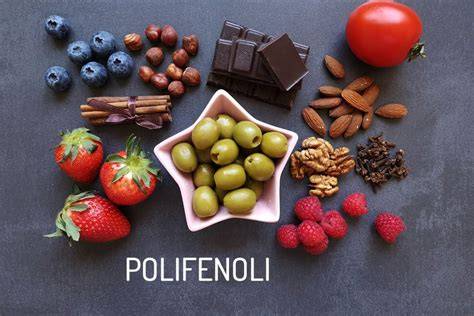 Infografic:Componentele active ale echinaceei: alcamide, echinacozide, polifenoli, flavonoide, polizaharide