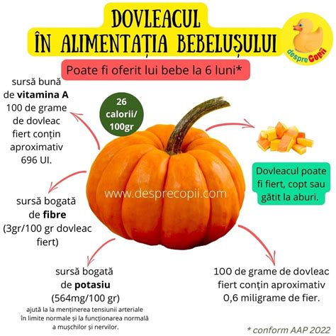 Infografic: Alegerea suzetei ideale pentru varsta bebelusului