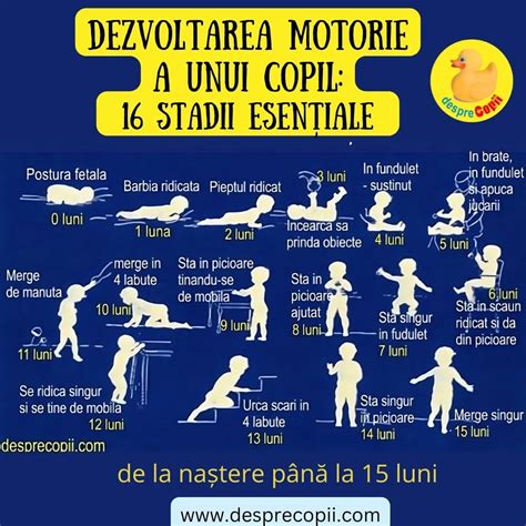 Infografic: etapele cezarianei si momentul de expunere al bebelusului