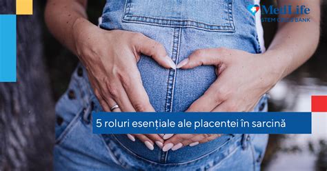 Scheme: roluri ale hCG în sarcină și în oncologie